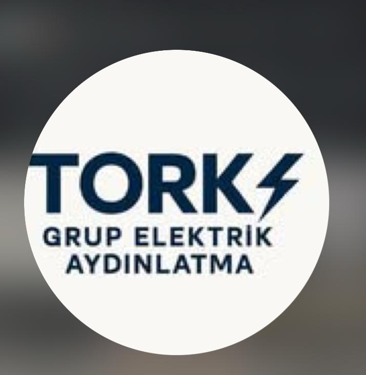 TORK Grup Elektrik Aydınlatma Logo